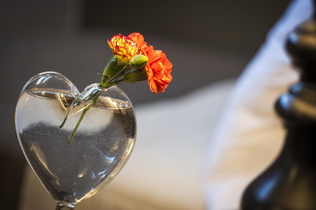Bed & Breakfast Bb 22 Palace